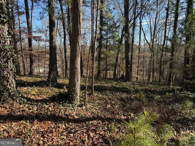 $59,995 | 0 Old Georgia Road, Heflin, AL 36262