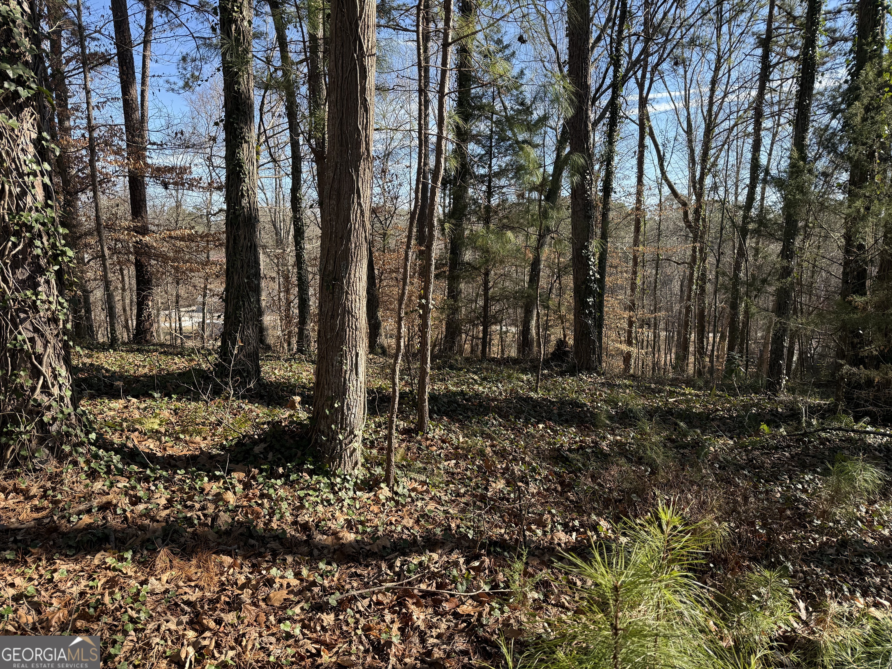 0 Old Georgia Road Fruithurst, AL 36262 - Photo 7 of 10