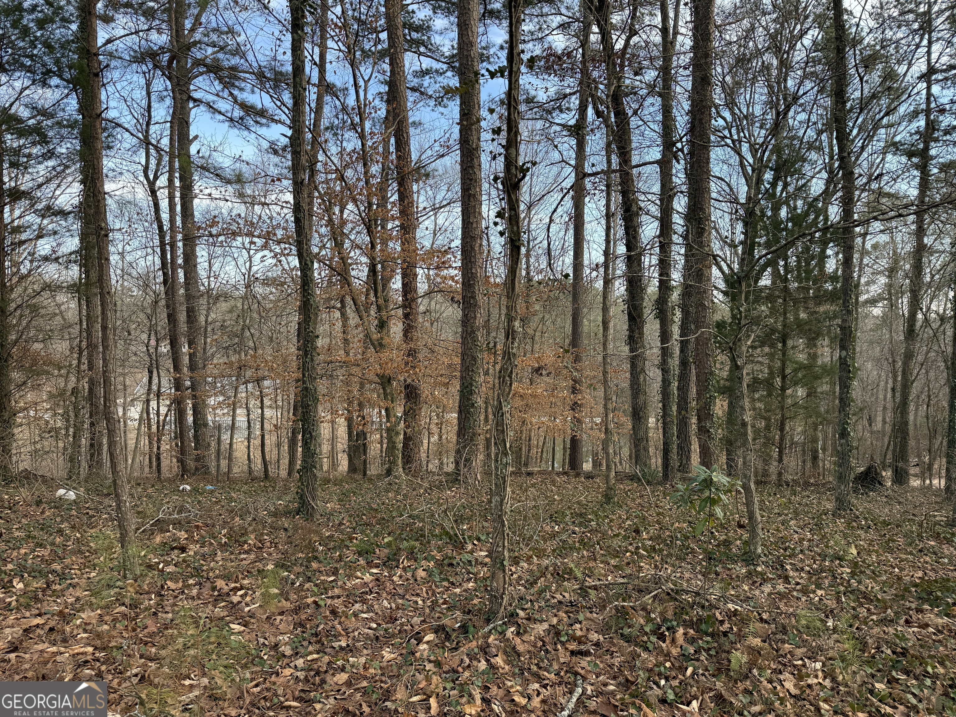 0 Old Georgia Road Fruithurst, AL 36262 - Photo 8 of 10