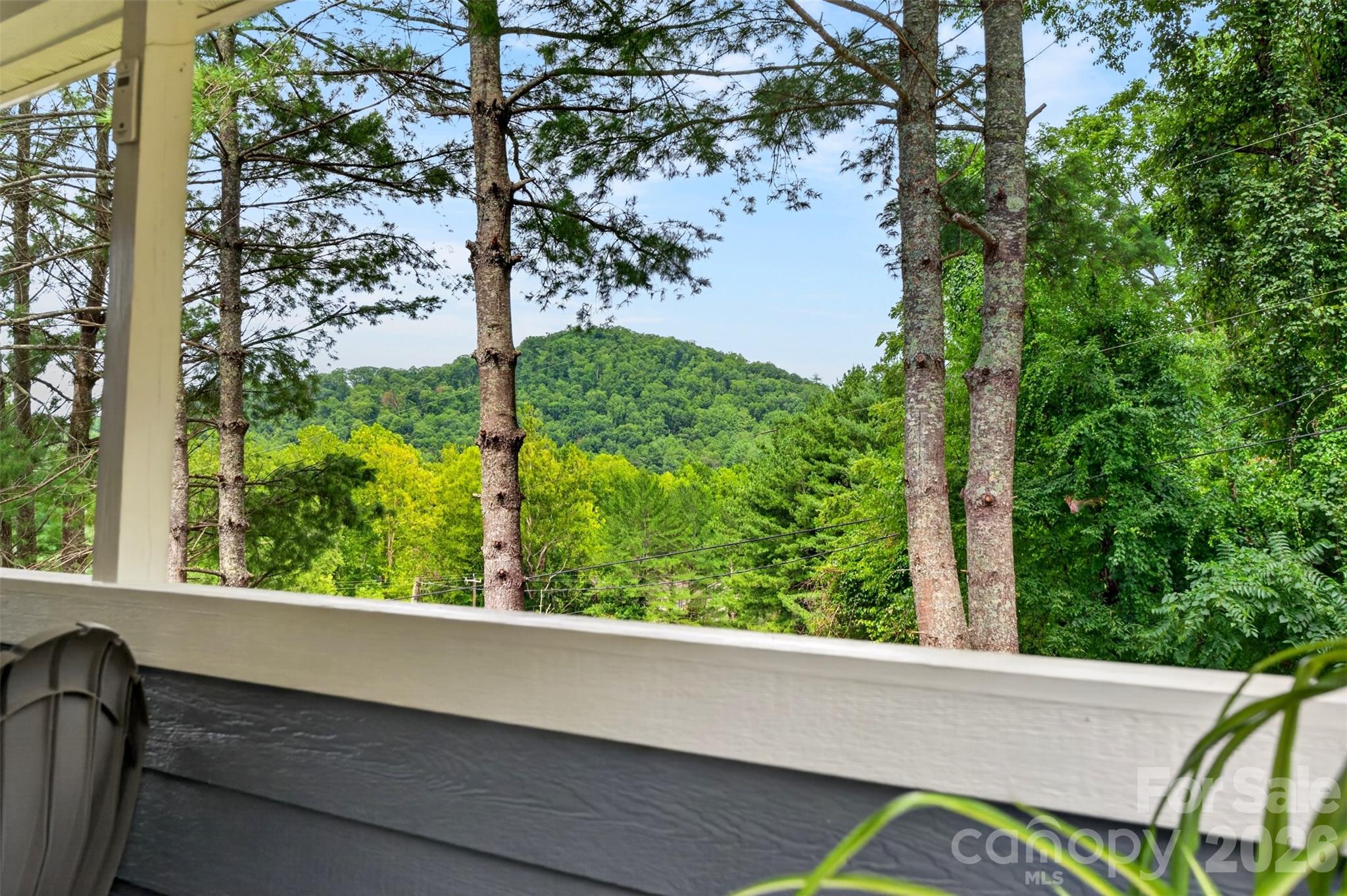 310 Magnolia Ridge Road Swannanoa, NC 28778 - Photo 39 of 46 Gallery Image 39