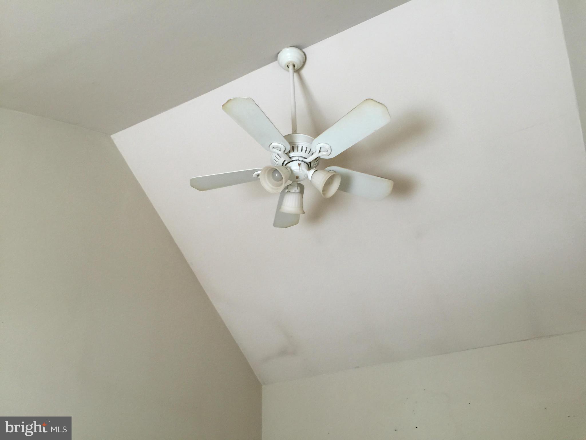 705 East Shore Road Pasadena, MD 21122 - Photo 9 of 17 Vaulted Ceilings