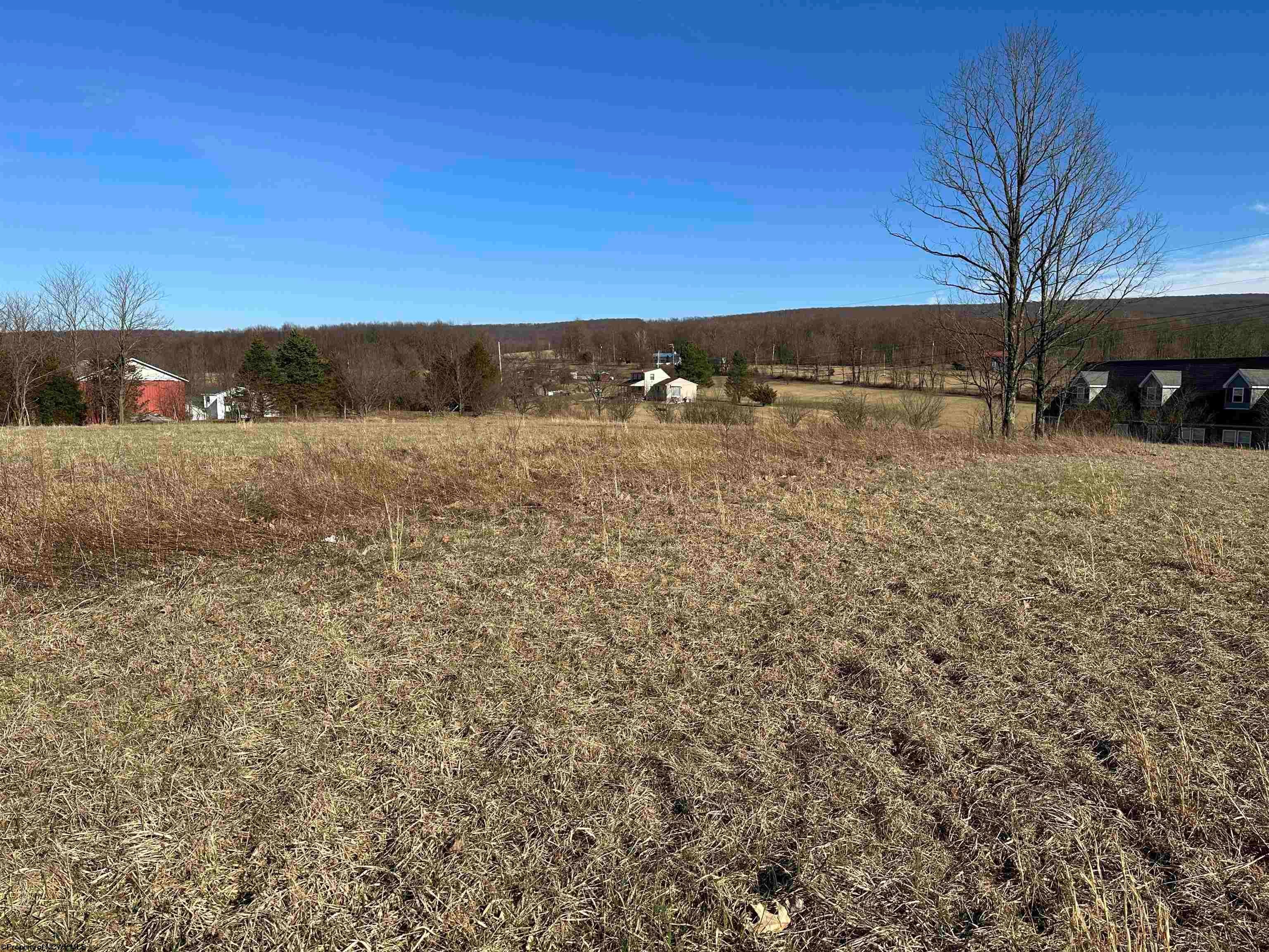 Tbd Windy Ridge Lane Albright, WV 26519 - Photo 5 of 16 Gallery Image 5
