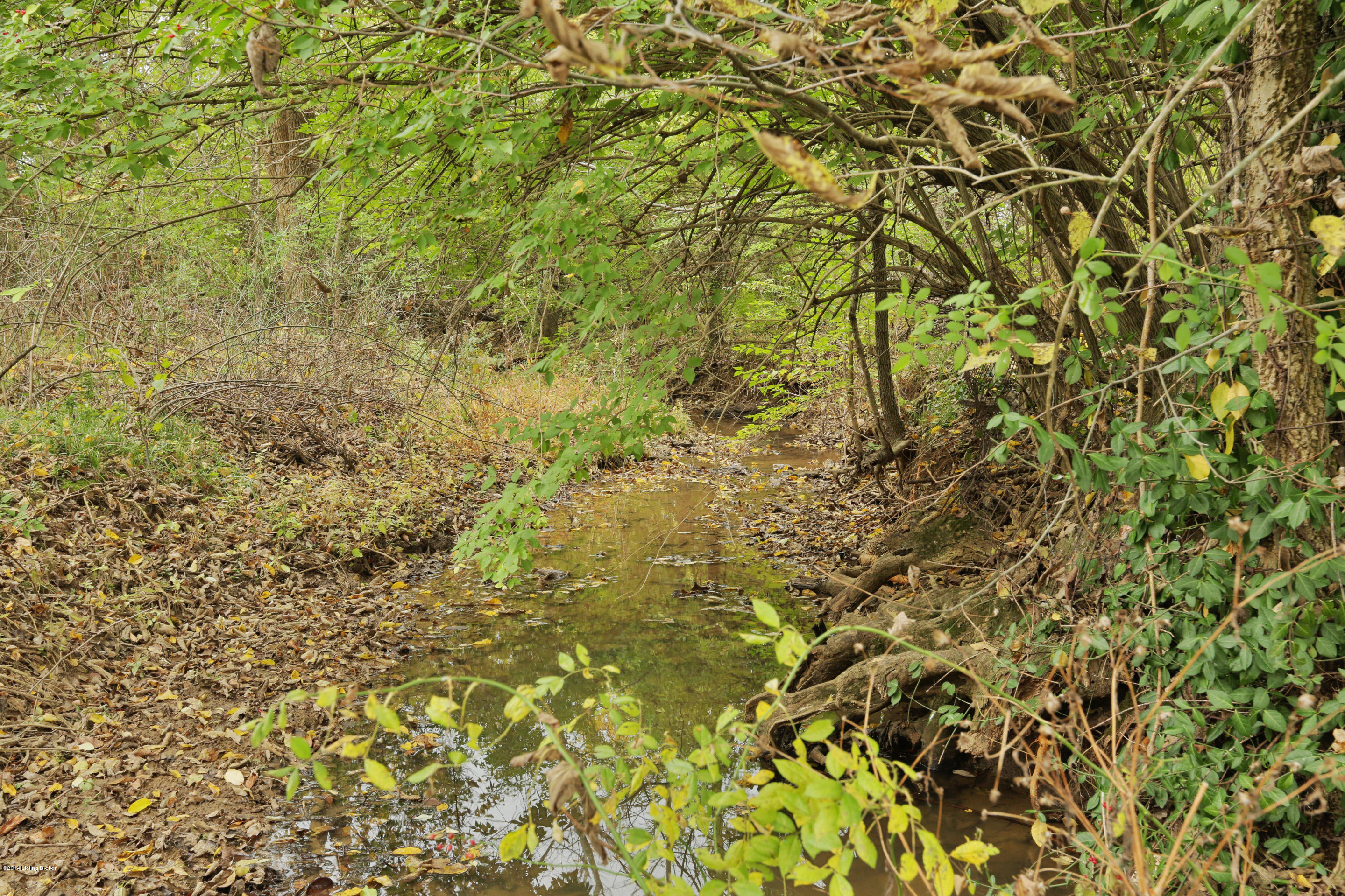 1 Ellis Road Eminence, KY 40019 - Photo 16 of 17 stream-1