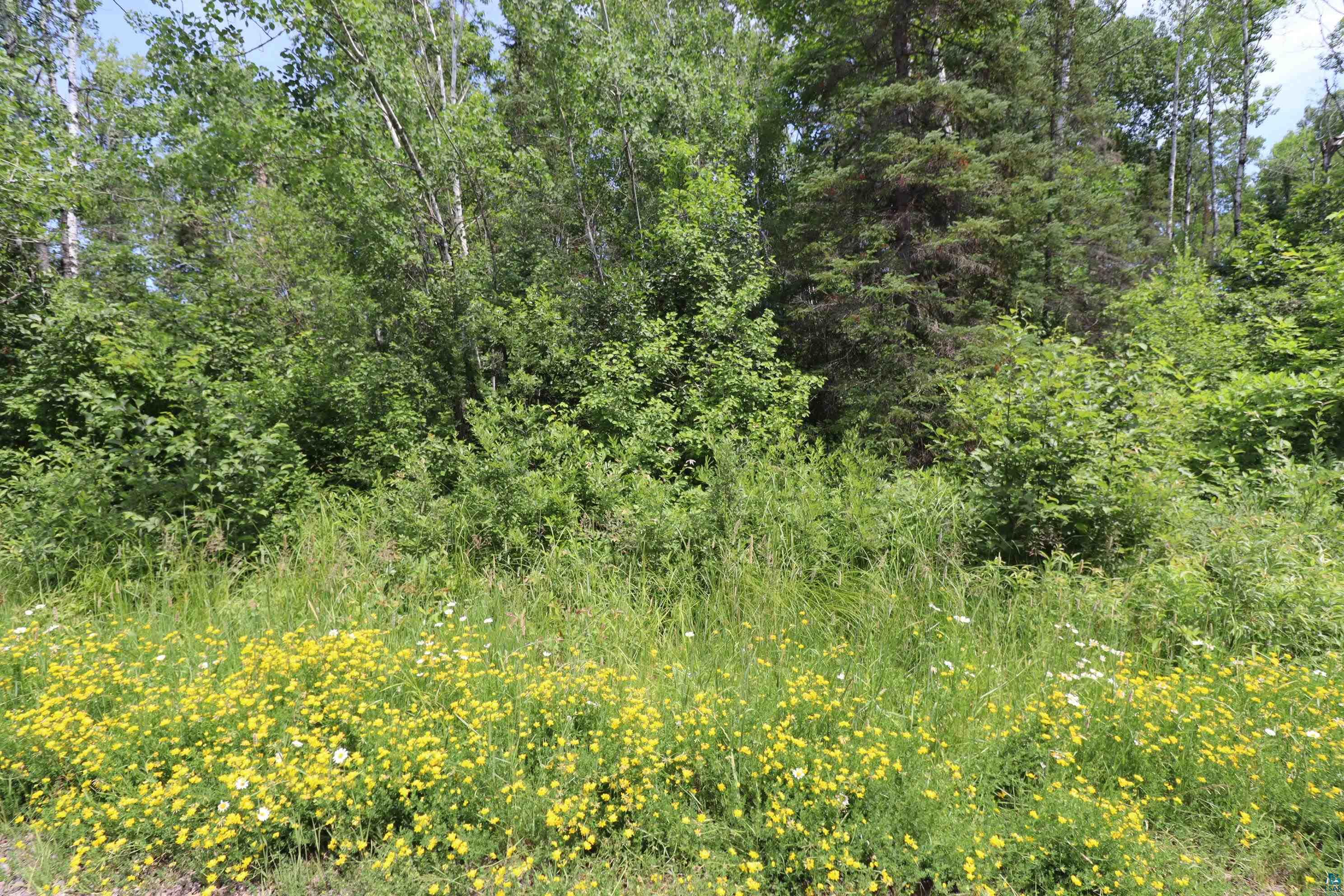 84-xxx Campbell Road Herbster, WI 54844 - Photo 20 of 22