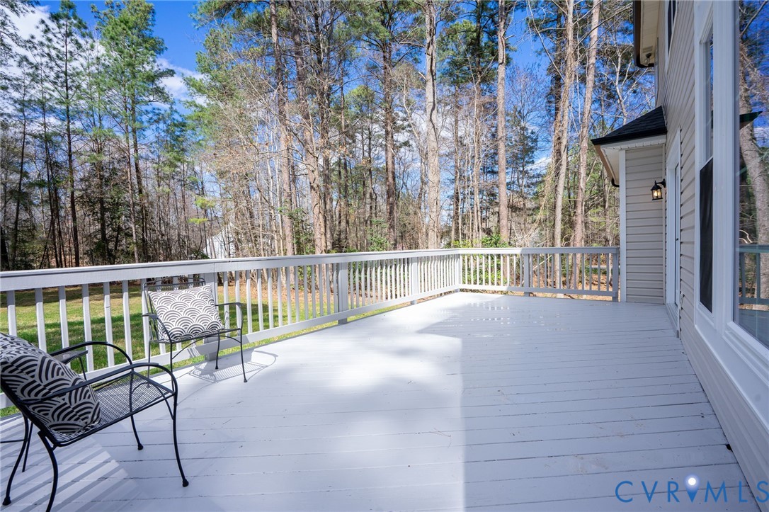 14200 Princess Mary Road Chesterfield, VA 23838 - Photo 54 of 83