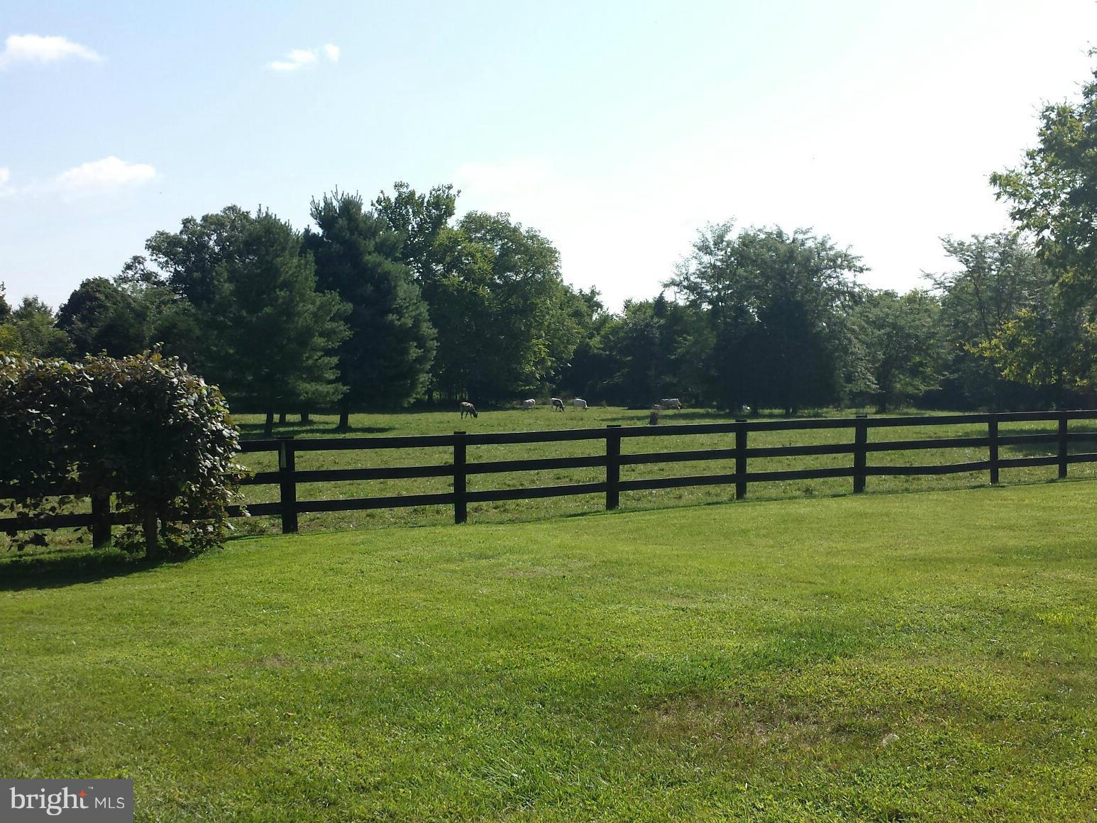 13399 Newbys Shop Road Remington, VA 22734 - Photo 7 of 28 Exterior (General)