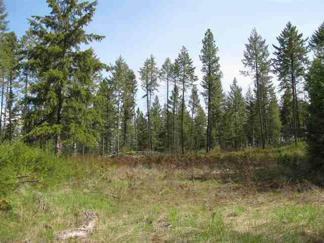 Xx Wild Rose Way Addy, WA 99101 - Photo 1 of 6