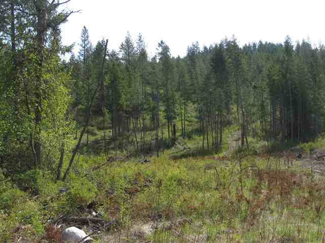 Xx Wild Rose Way Addy, WA 99101 - Photo 2 of 6