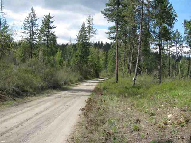 Xx Wild Rose Way Addy, WA 99101 - Photo 3 of 6