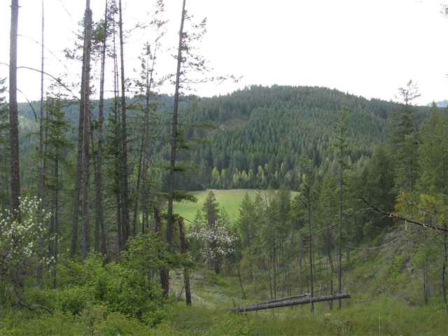 Xx Wild Rose Way Addy, WA 99101 - Photo 4 of 6