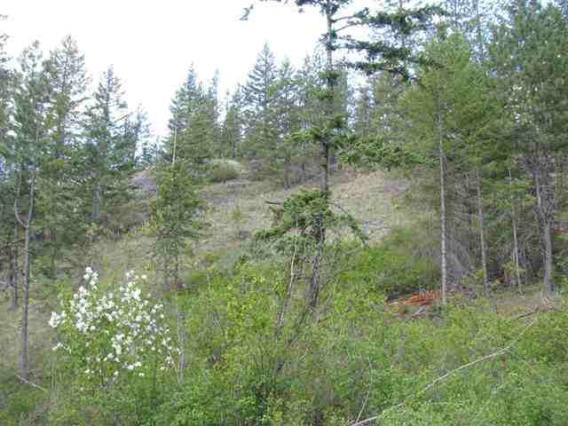 Xx Wild Rose Way Addy, WA 99101 - Photo 5 of 6