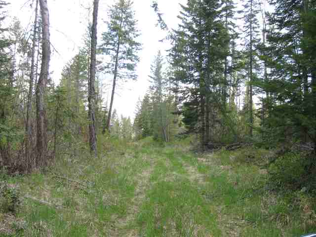Xx Wild Rose Way Addy, WA 99101 - Photo 6 of 6