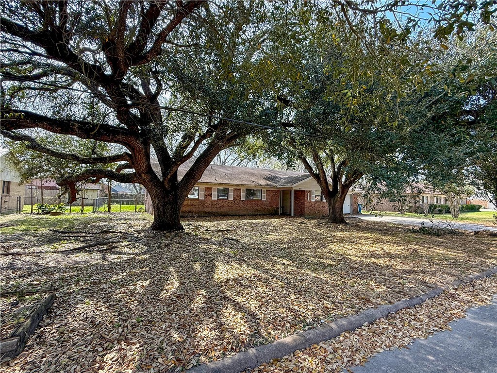a tree in the middle of a yard