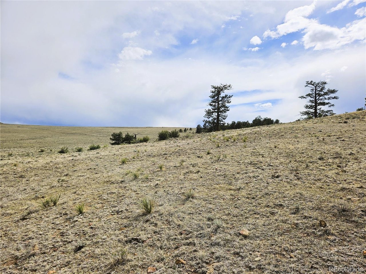 24131 Chato Road Hartsel, CO 80449 - Photo 7 of 28