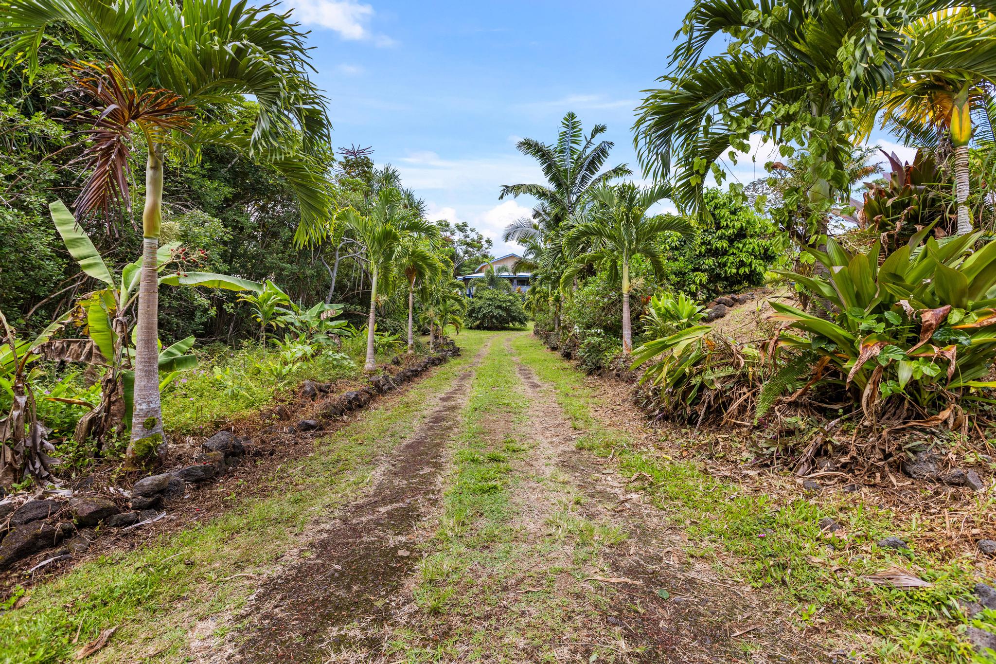 14-3734 Government Beach Road Pahoa, HI 96778 - Photo 20 of 26