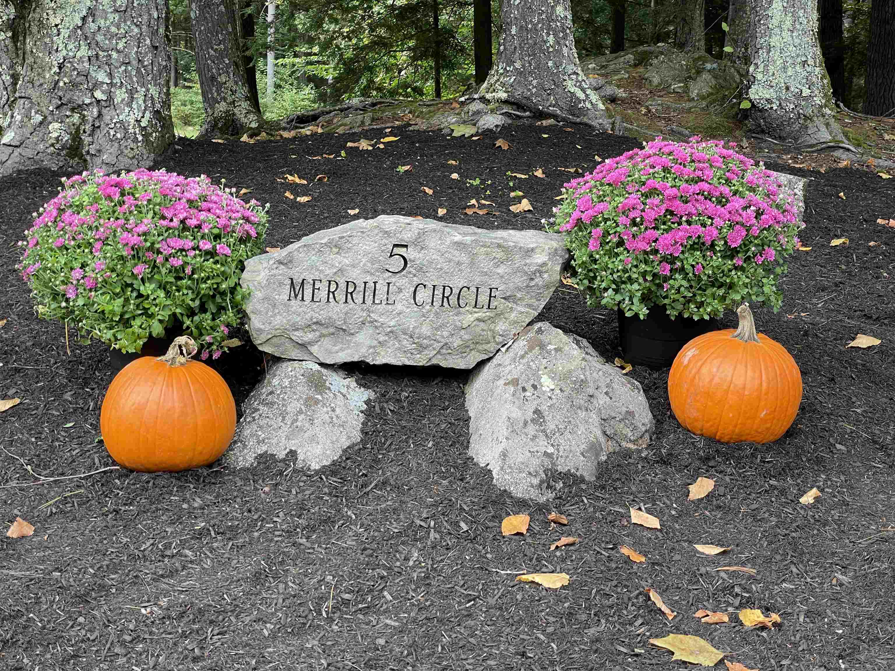 5 Merrill Circle Brentwood, NH 03833 - Photo 40 of 40