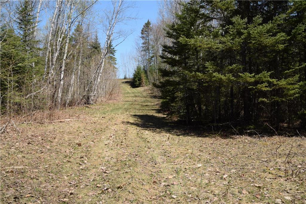 2090 Caribou Road Sinclair, ME 04779 - Photo 6 of 28 Good interior road