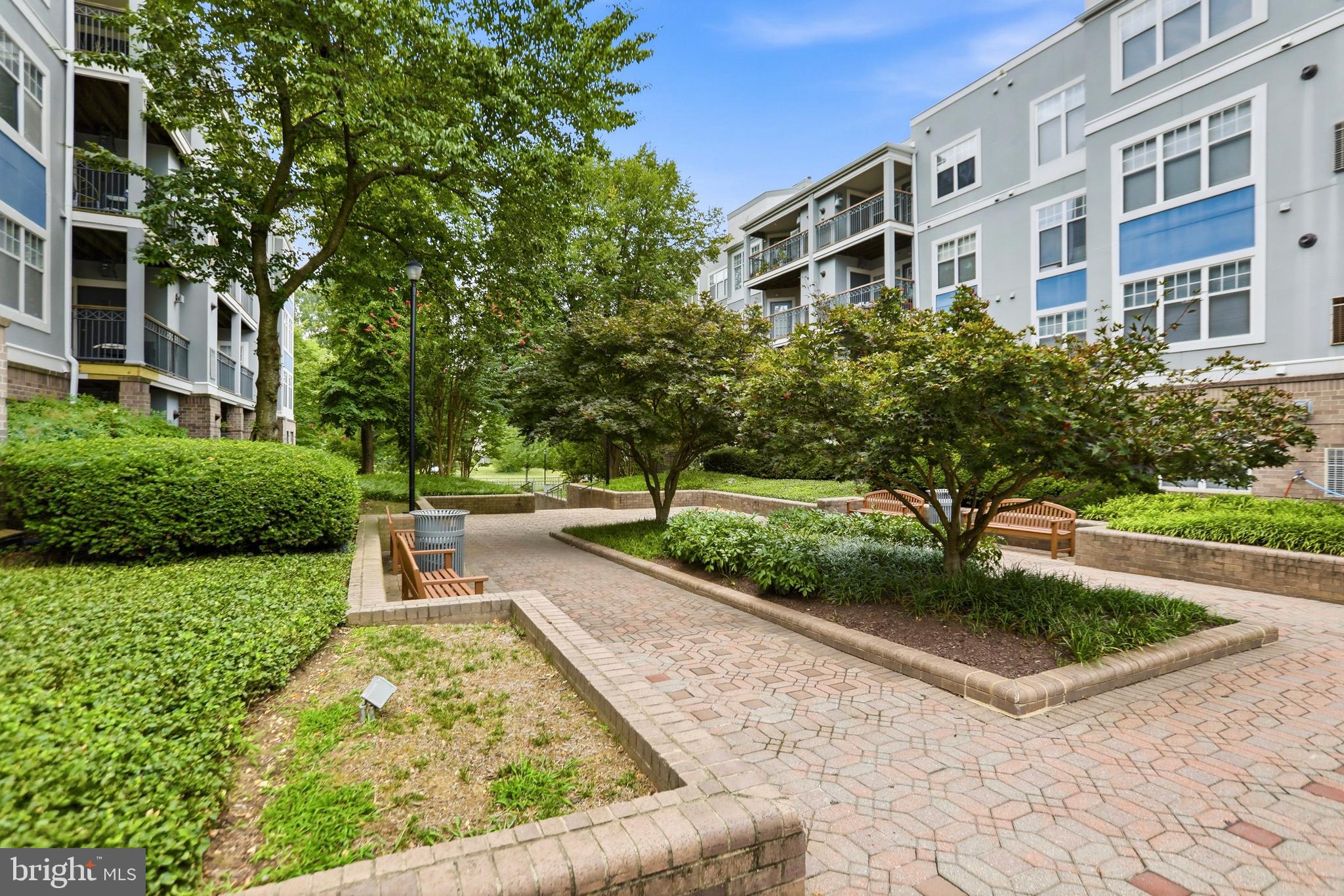 5565 Seminary Road, Unit 314 Falls Church, VA 22041 - Photo 3 of 22 a view of a yard with plants