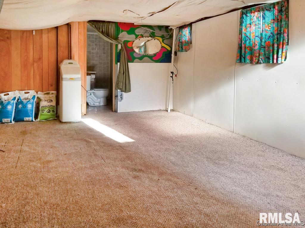 1907 Elizabeth Street Springfield, IL 62702 - Photo 27 of 35