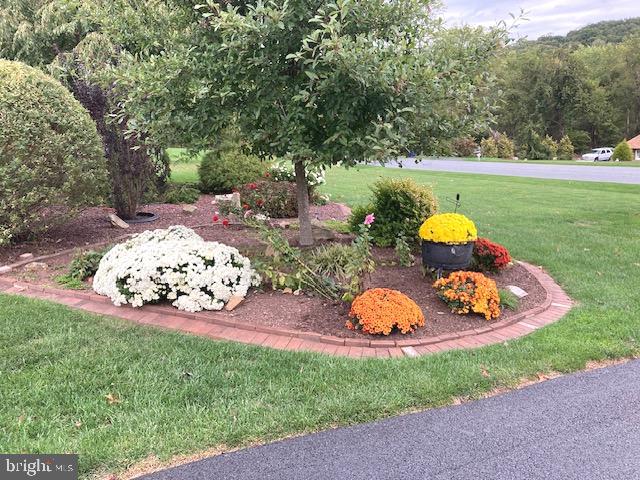 5708 Woodlyn Road Frederick, MD 21703 - Photo 4 of 68 front yard