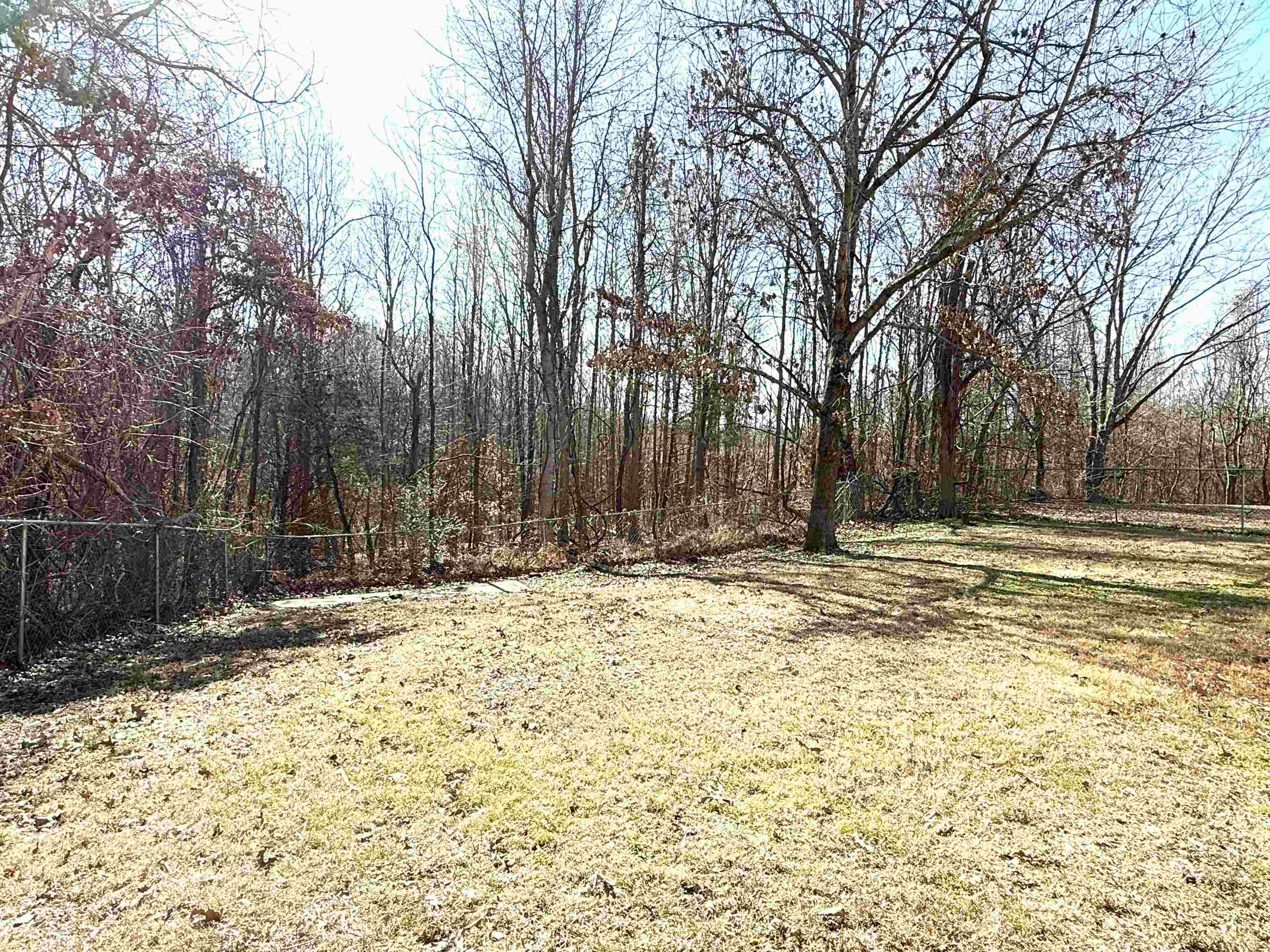 3211 Asbury Glimp Road Ripley, TN 38063 - Photo 16 of 19