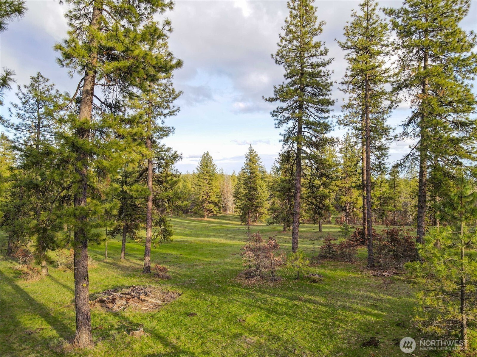 16 Grayback Road Goldendale, WA 98620 - Photo 20 of 25 Gallery Image 20