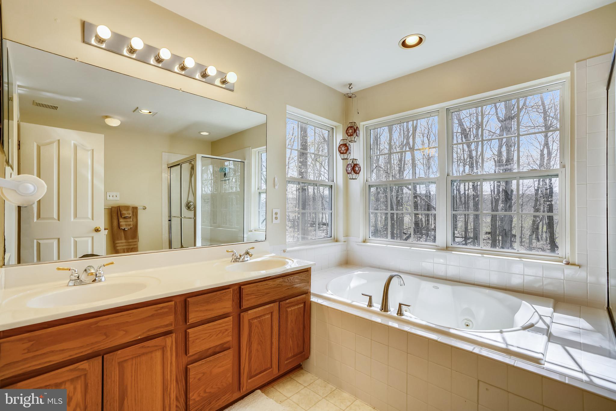 8004 Big Pool Road Laurel, MD 20724 - Photo 19 of 39 a bathroom with a large tub sink and double vanity
