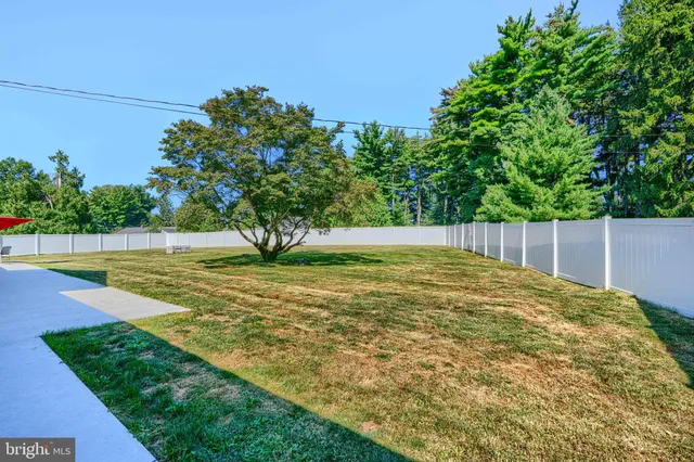 a view of yard with tree