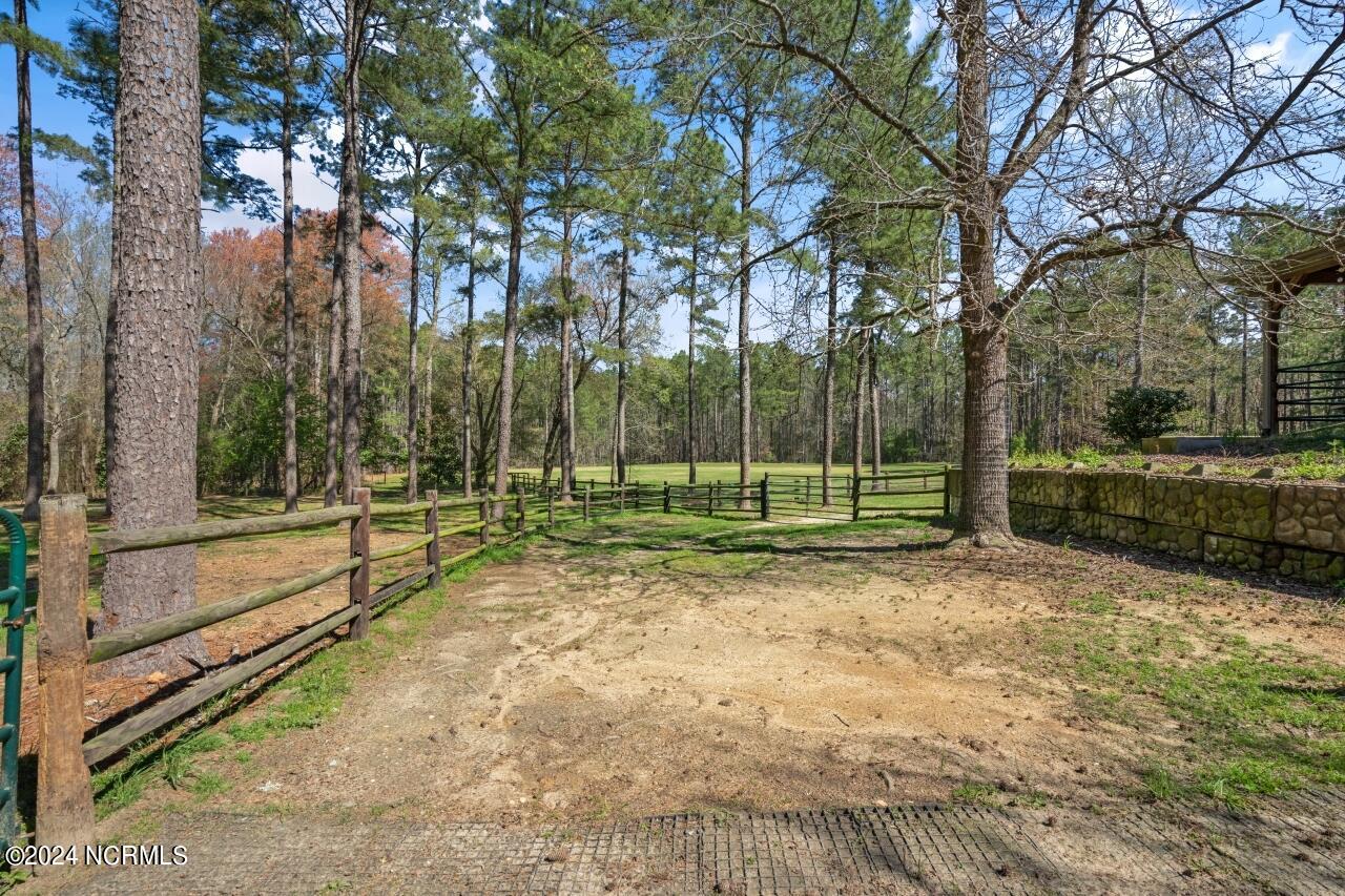 277 Causey Road Vass, NC 28394 - Photo 22 of 58 277-causey-040