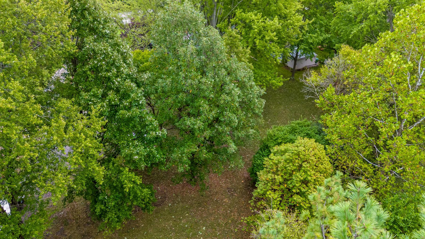 5503 Linworth Road Columbus, OH 43235 - Photo 42 of 47 14-web-or-mls-5503 Linworth Rd-114