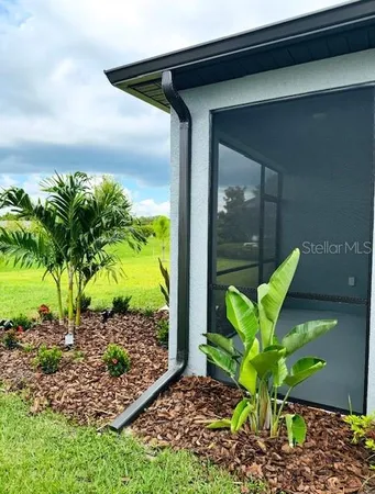 a plant in a garden with a chair