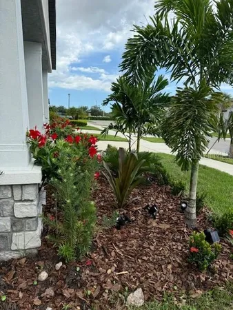 a view of a garden with plants and large trees