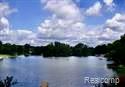 10418 King Road Davisburg, MI 48350 - Photo 32 of 62