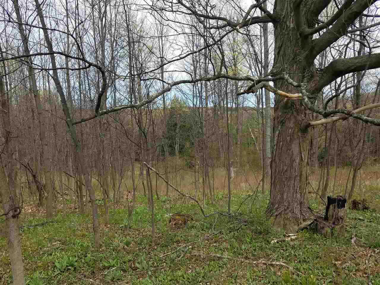 1402 West 18 Road Mesick, MI 49668 - Photo 23 of 33 1831247-22.JPG