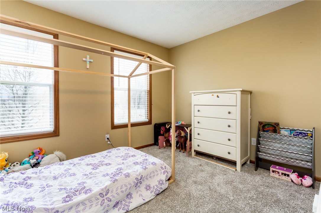 3548 Blake Road Seville, OH 44273 - Photo 21 of 35 Gallery Image 21