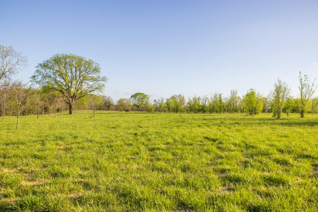 719 Northwest 871st Road Centerview, MO 64019 - Photo 45 of 56