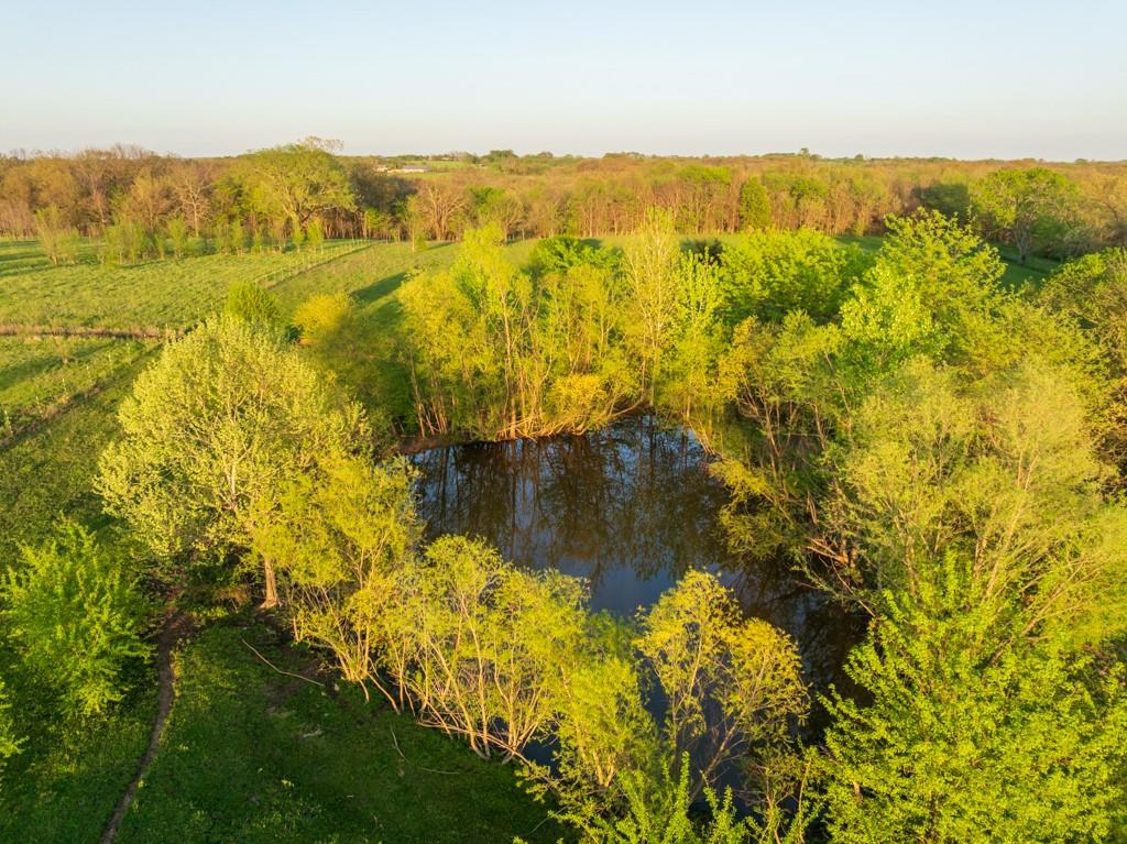 719 Northwest 871st Road Centerview, MO 64019 - Photo 10 of 56