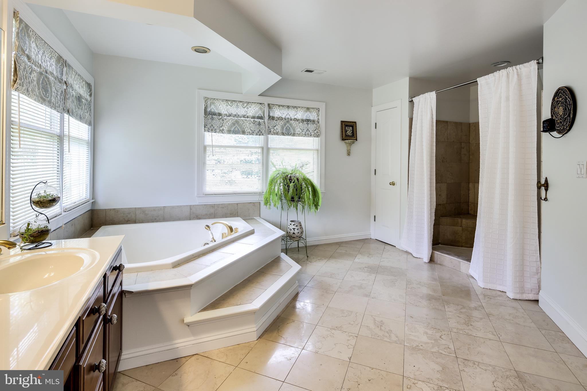 231 Rugby Road Arnold, MD 21012 - Photo 17 of 42 Master Bath