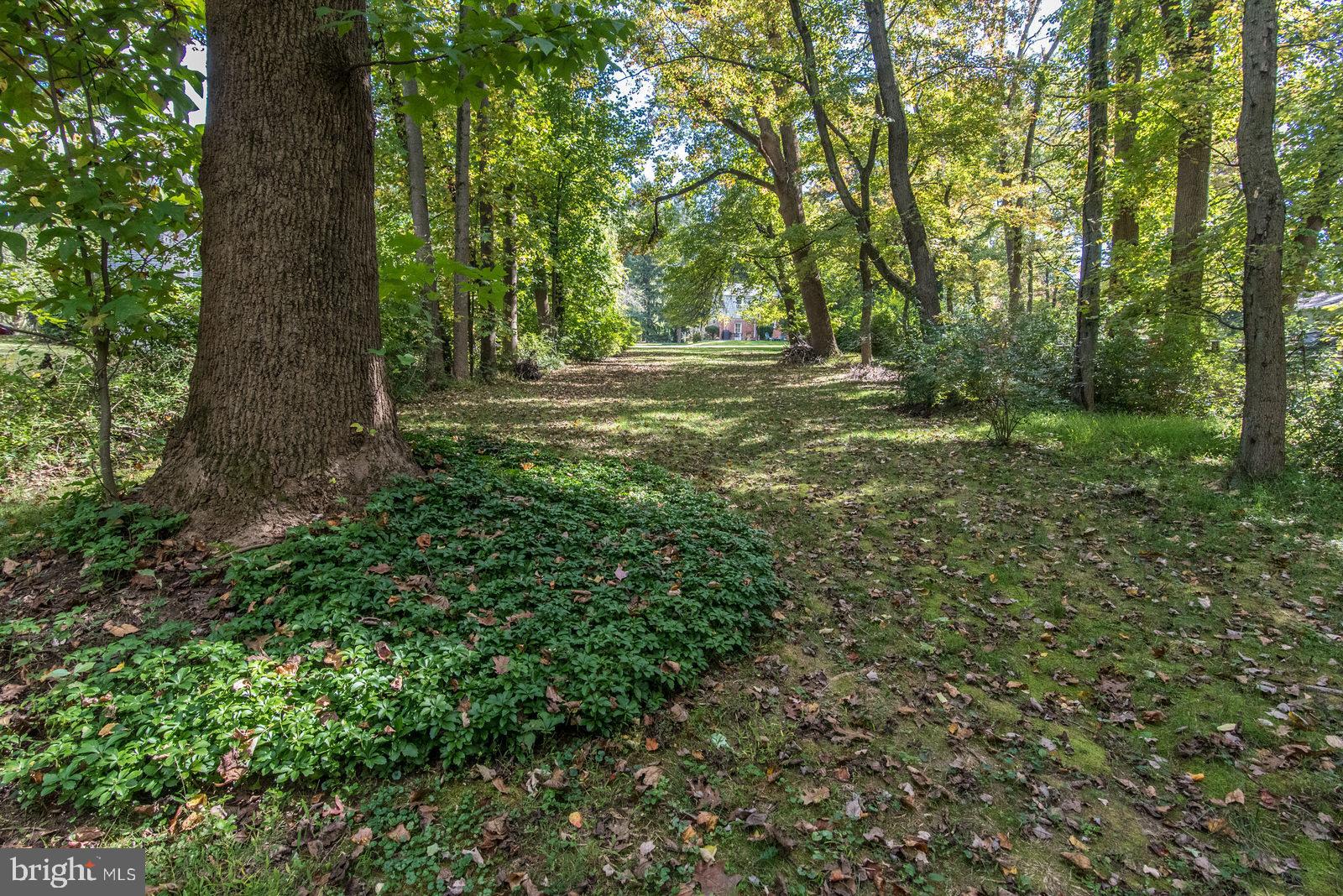 112 Fairhill Road Huntingdon Valley, PA 19006 - Photo 81 of 86 Gallery Image 81
