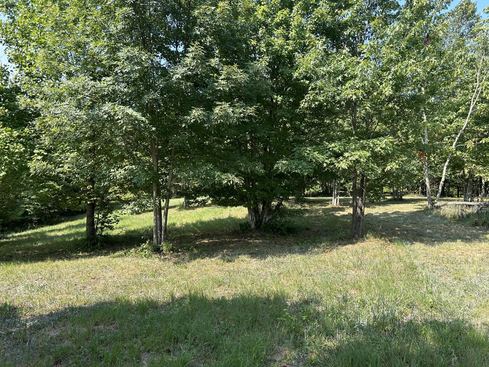 245 Lookout View Drive Jasper, TN 37347 - Photo 1 of 37