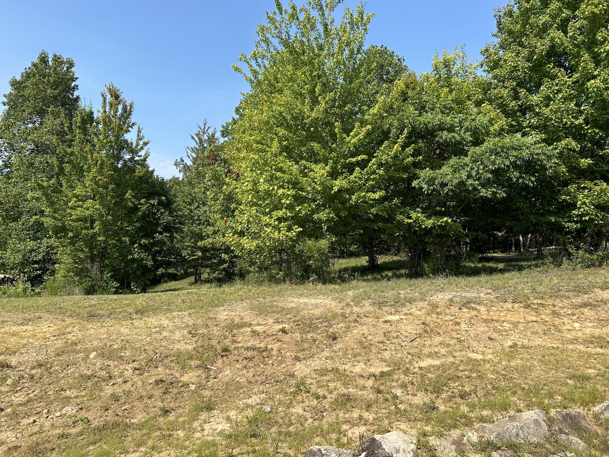 245 Lookout View Drive Jasper, TN 37347 - Photo 11 of 37 a view of a yard with a trees