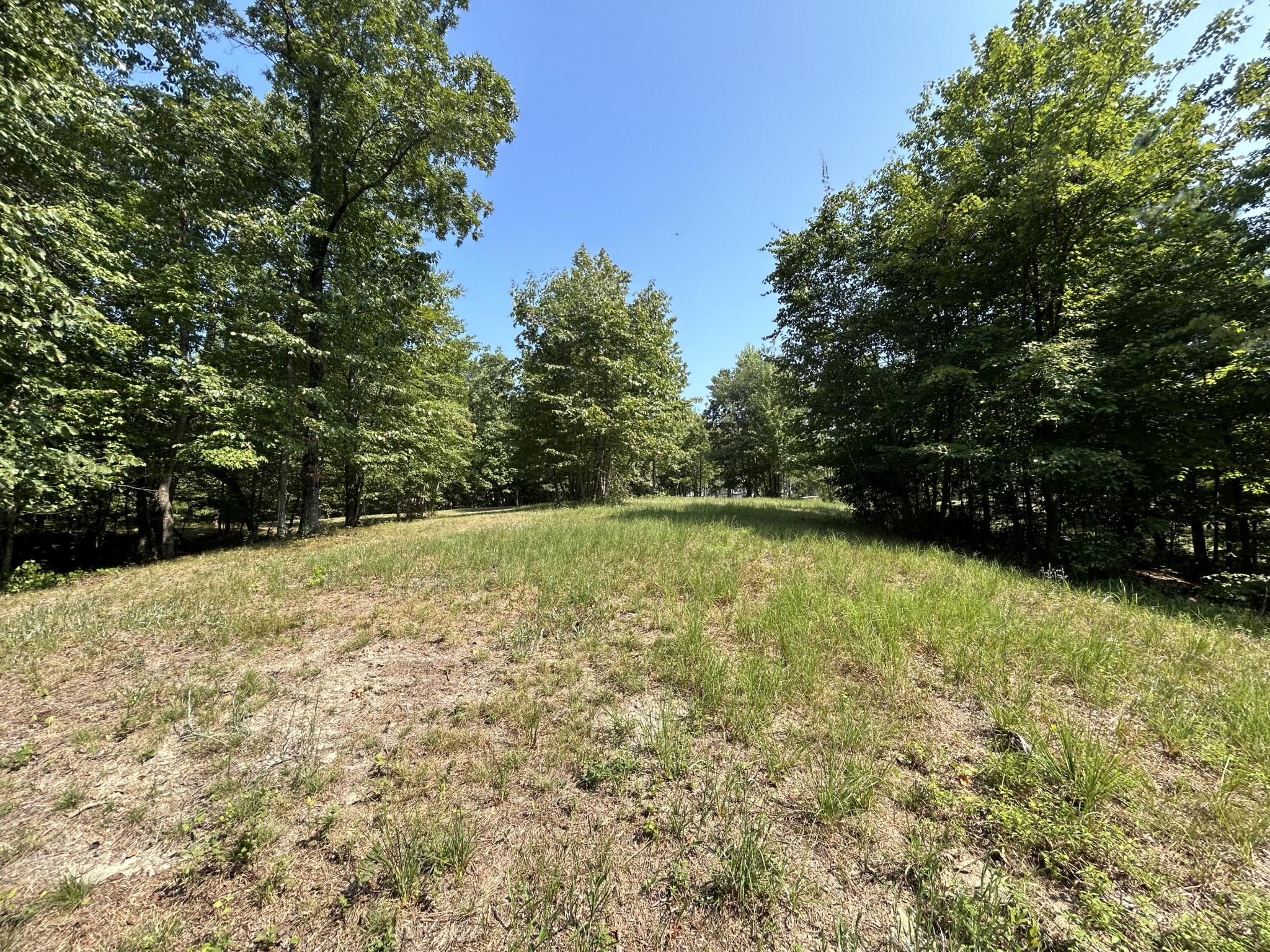 245 Lookout View Drive Jasper, TN 37347 - Photo 14 of 37 a view of outdoor space and yard