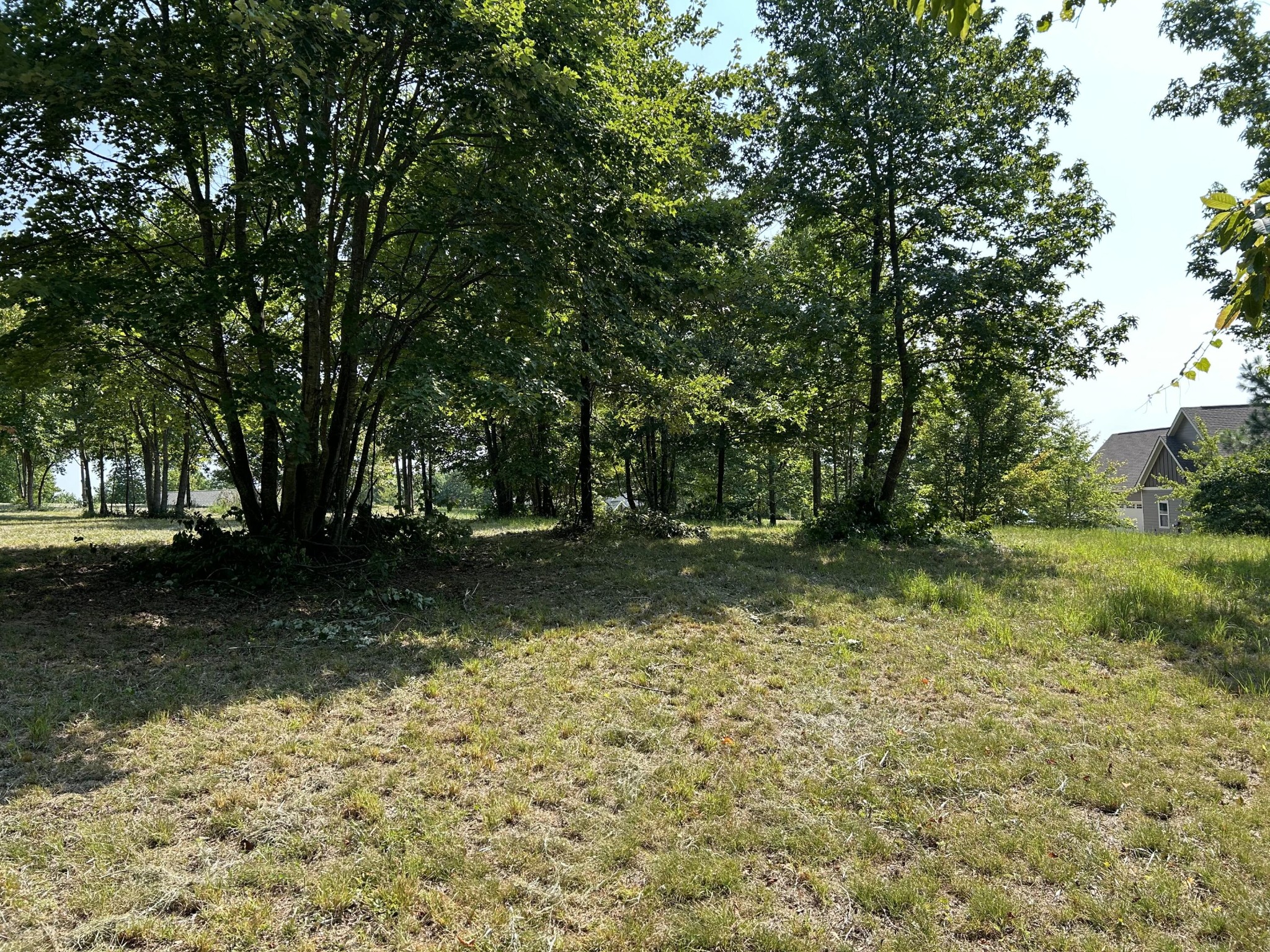 245 Lookout View Drive Jasper, TN 37347 - Photo 16 of 37 a view of backyard with green space