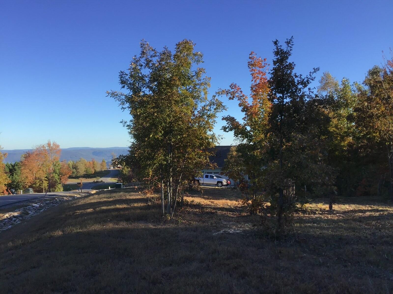 245 Lookout View Drive Jasper, TN 37347 - Photo 6 of 37 a night view of road and trees