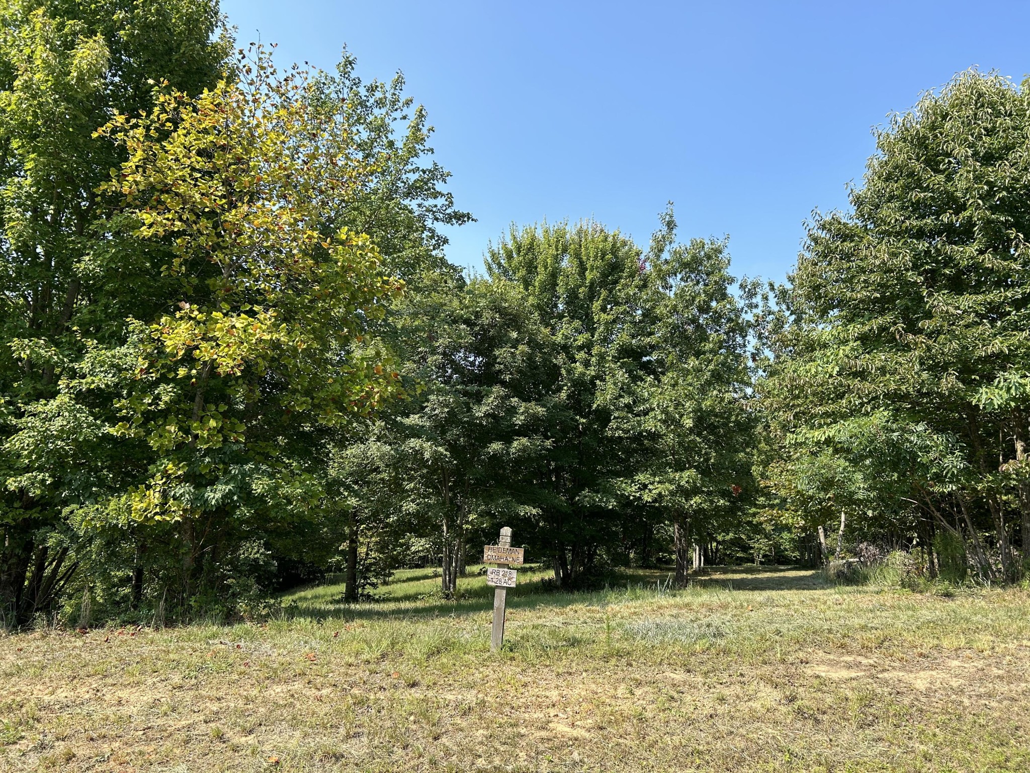 245 Lookout View Drive Jasper, TN 37347 - Photo 7 of 37 a backyard of a house with lots of green space