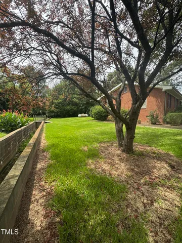 a view of a yard with an trees