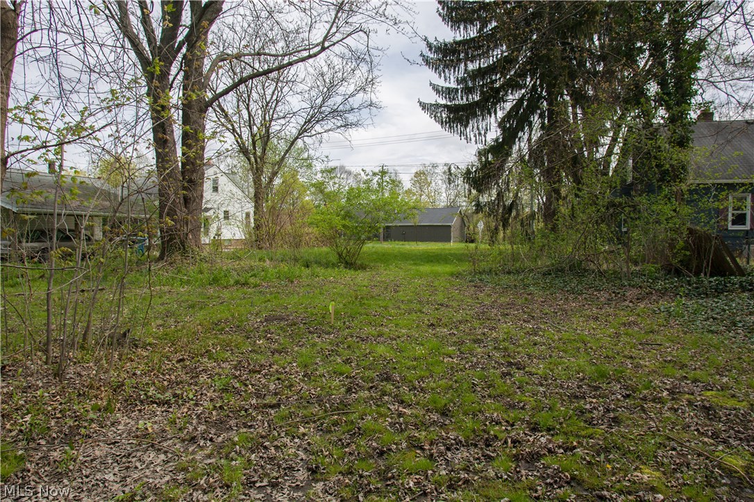 156 Prospect Road Berea, OH 44017 - Photo 4 of 5 156 Prospect Street, taken from the back of the lot looking towards Prospect Street.