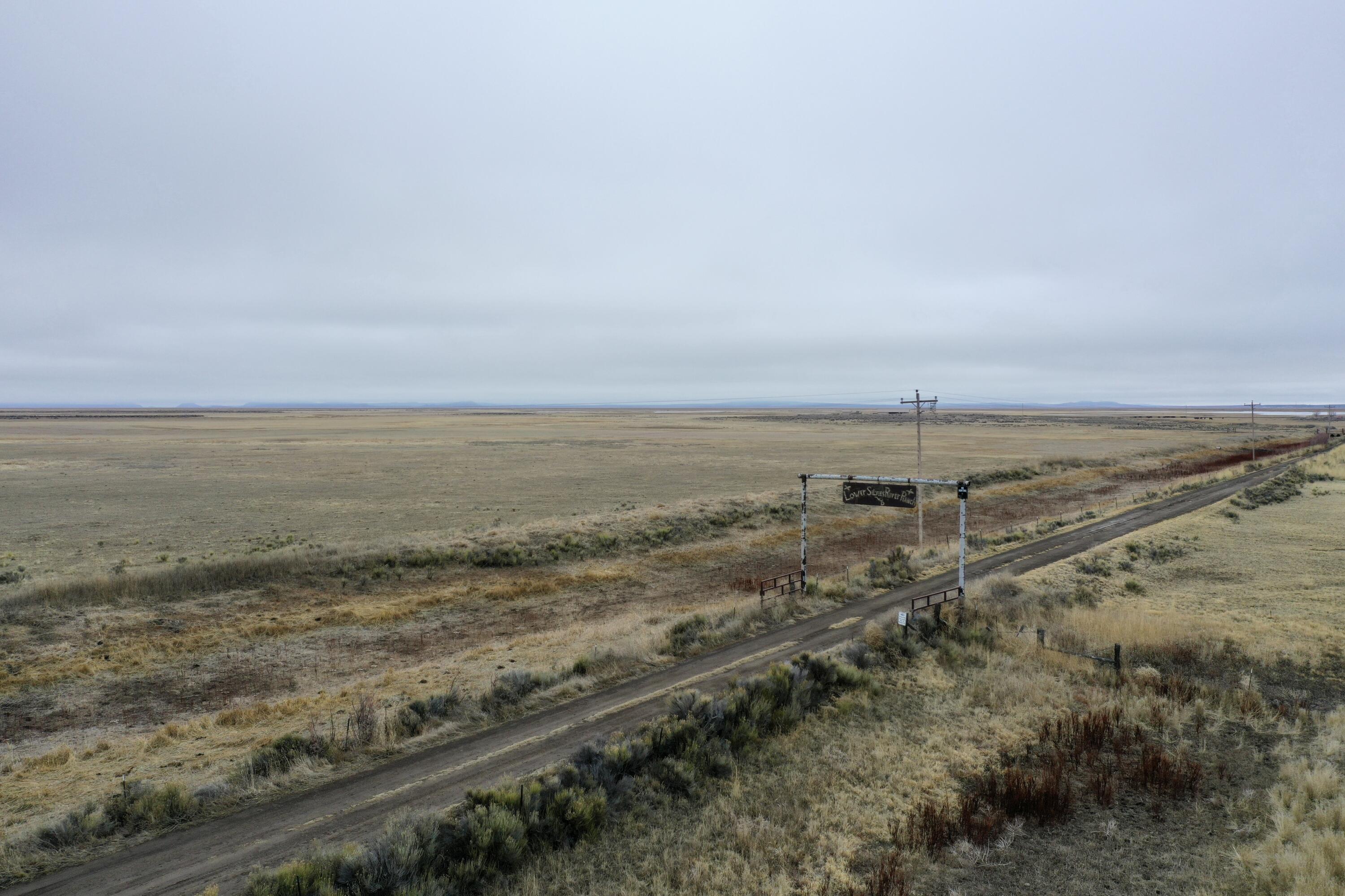 DJI_0685
