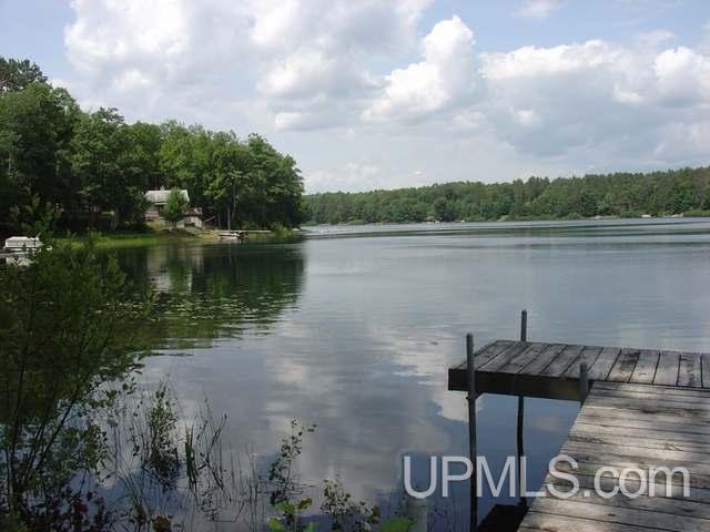 Off South Moon Lake Road Watersmeet, MI 49969 - Photo 3 of 10 Gallery Image 3