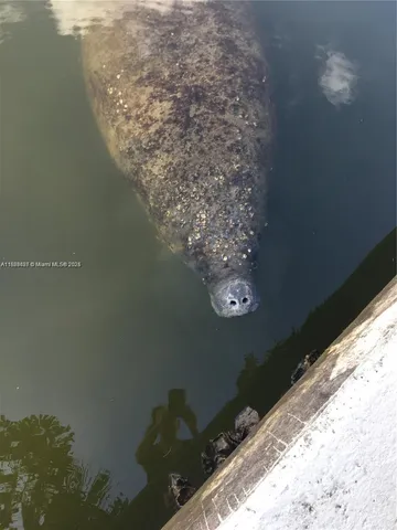 $2,075 | 5151 North Hwy A1A, Unit 113, Fort Pierce, FL 34949